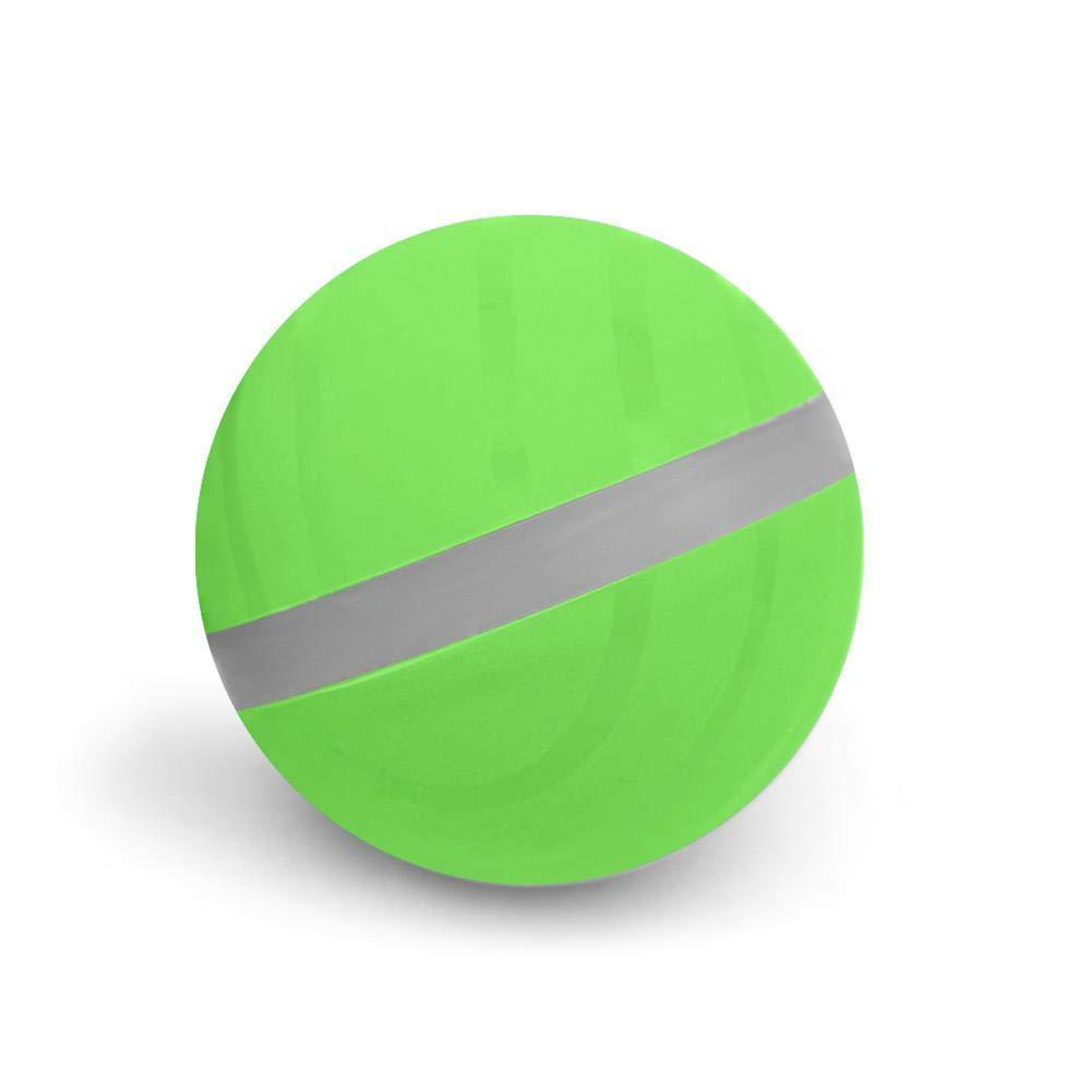 Pet Motion Ball - Pawsitive Play