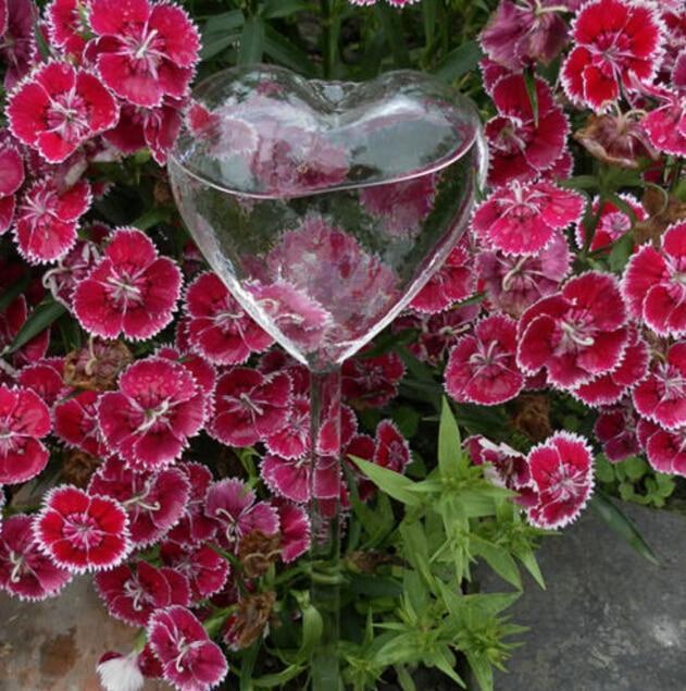 Self-Watering Plant Bulb - Verdant Bloom