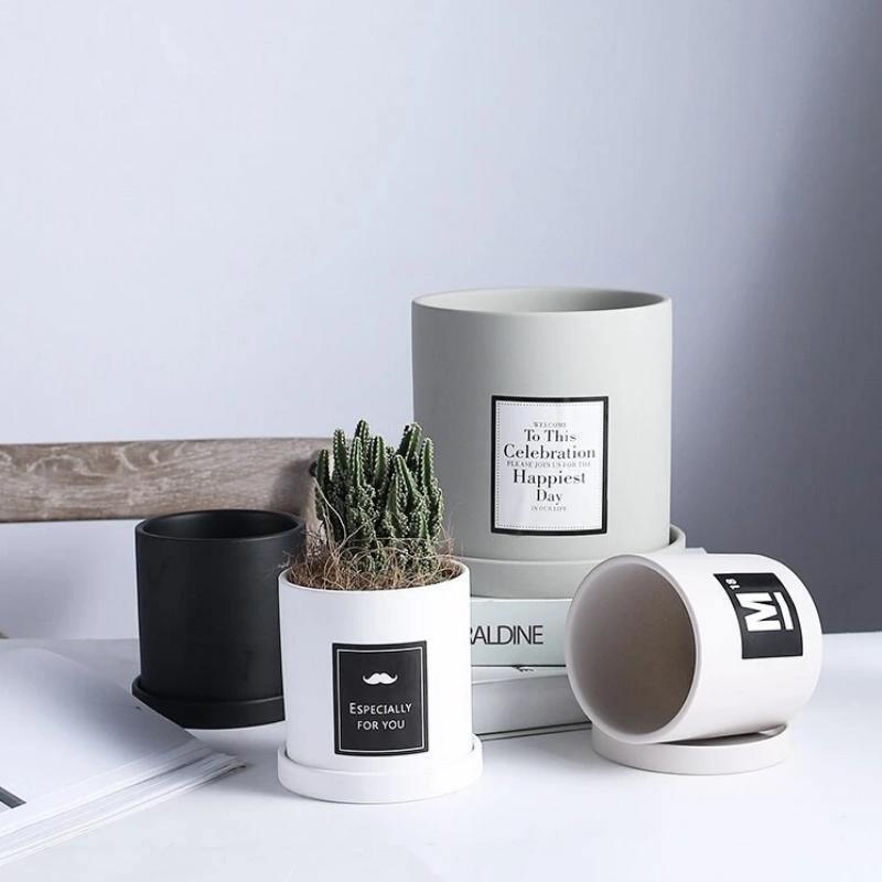 EverVase Ceramic Planter - BloomCraft Collection