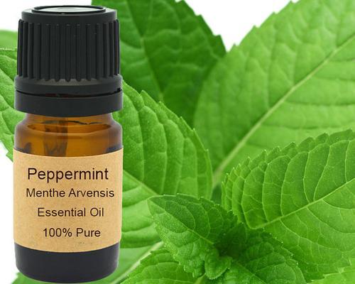Peppermint Essential Oil - PureAura Naturals