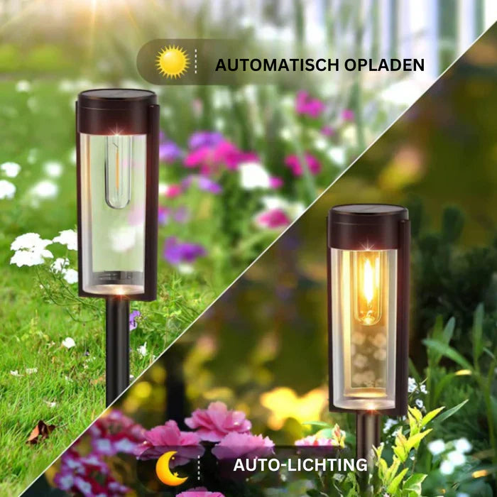Solar Path Lighting - LuxeGlow