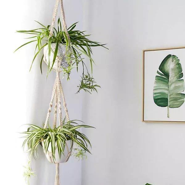 Boho Macrame Plant Holder Set - Artisan Home Decor