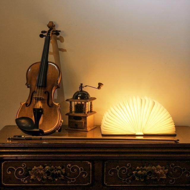 Wood Book LED Lamp - LuminaCraft