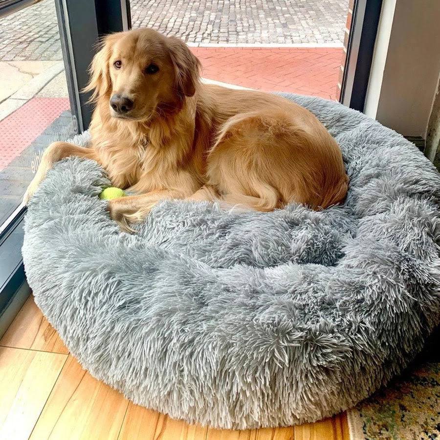 Orthopedic Donut Dog Bed - LuxePaws