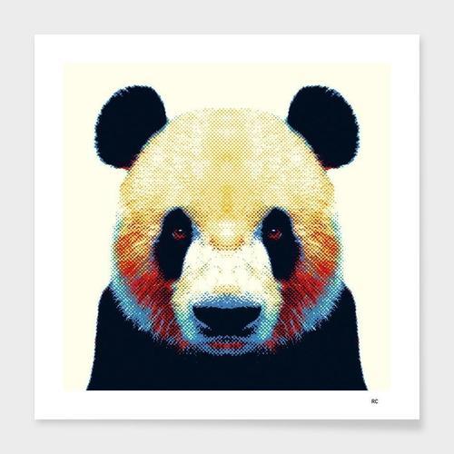 Colorful Animals Frame - Artistry Haven