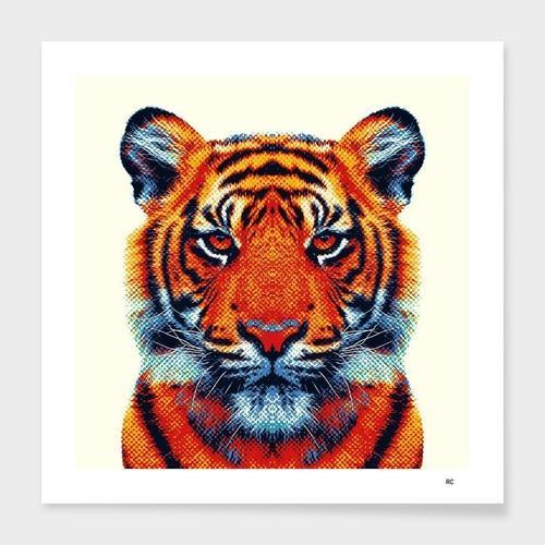 Colorful Tiger Animal Frame - Artistry Haven