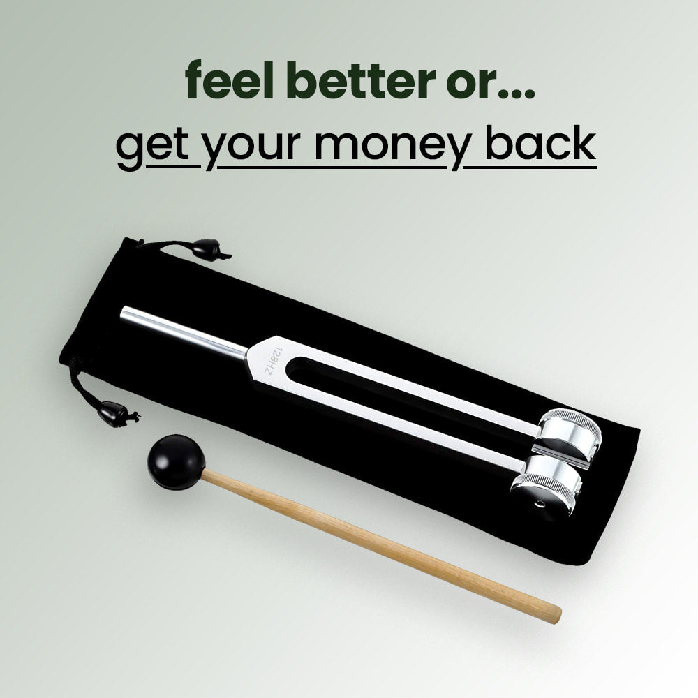 Sound Therapy Instrument - HarmonyWave