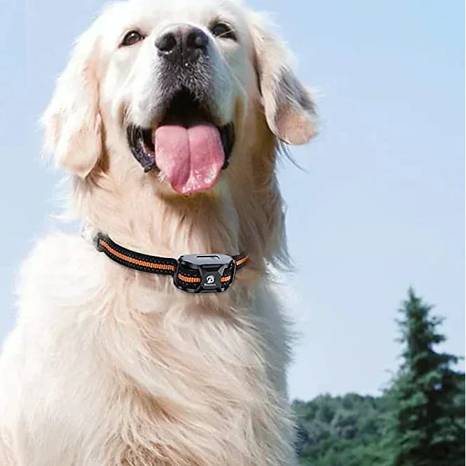 Dog Training Collar - Canine Command Pro