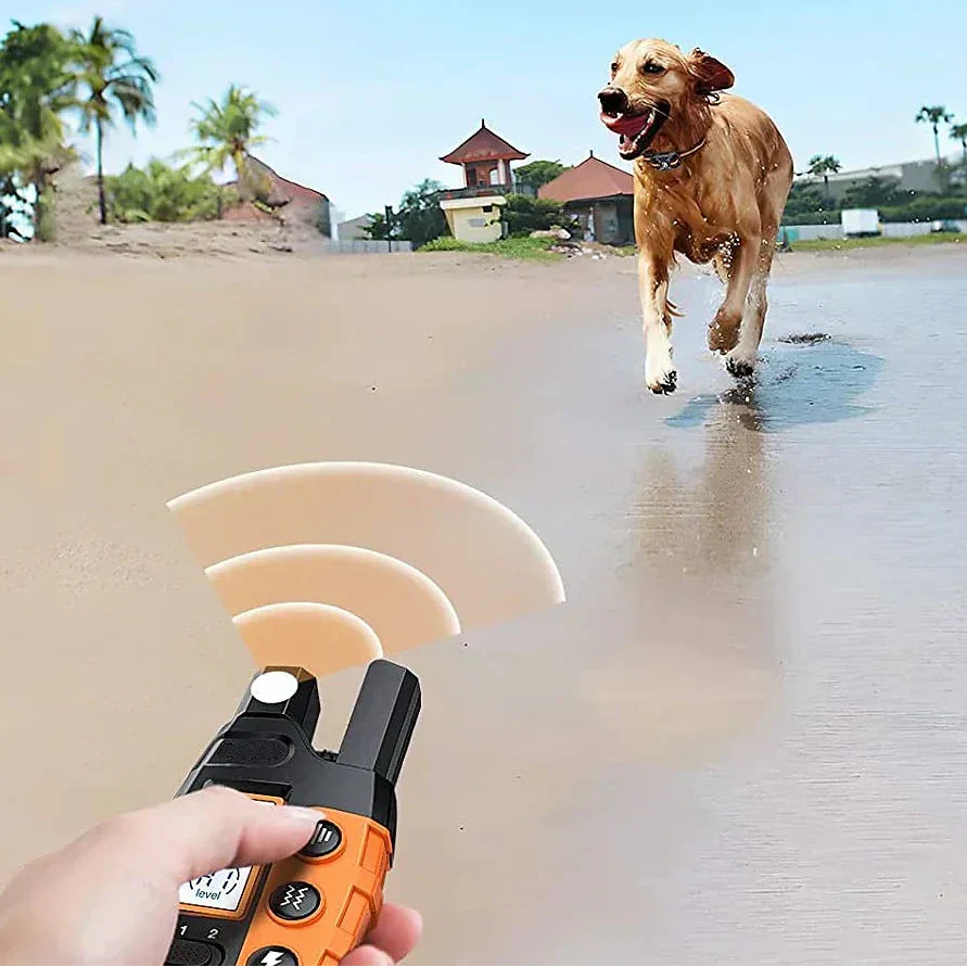 Dog Training Collar - Canine Command Pro