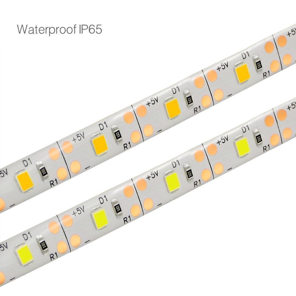 Motion Sensor LED Strip Light - Luminara Luxe