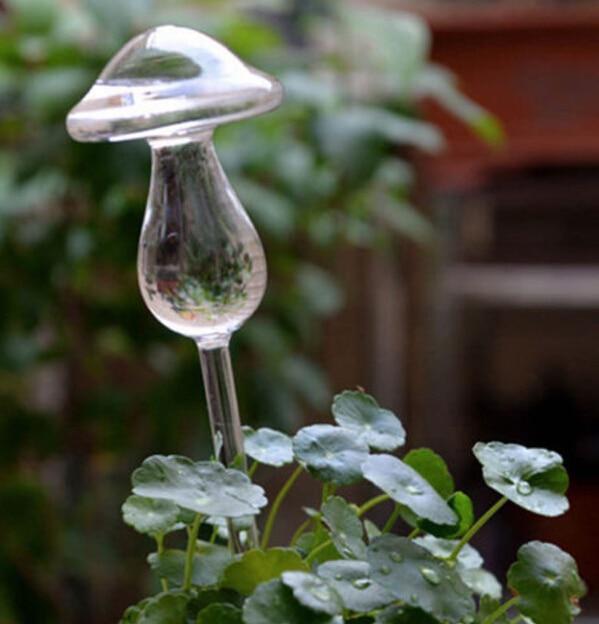 Self-Watering Plant Bulb - Verdant Bloom