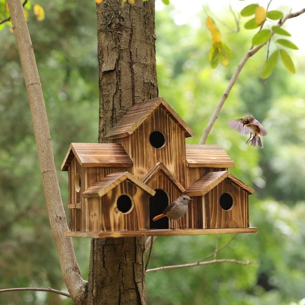Nesting Box for Garden Birds - Avian Haven