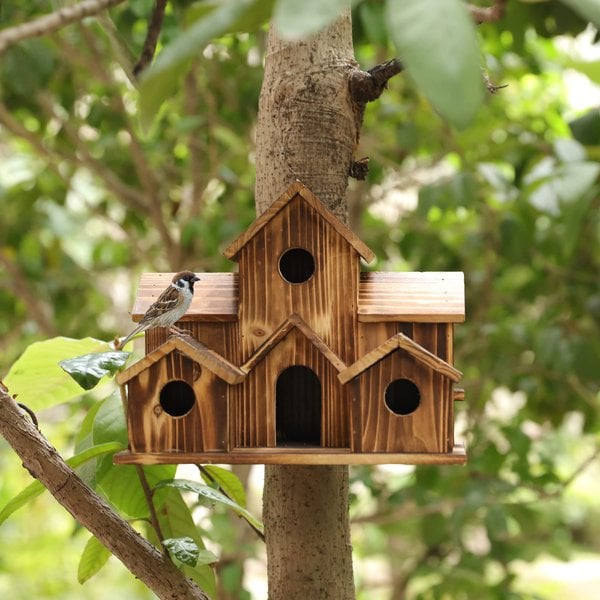 Nesting Box for Garden Birds - Avian Haven