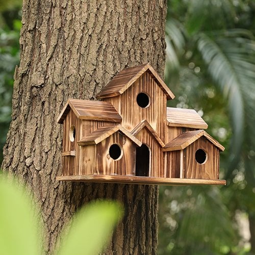 Nesting Box for Garden Birds - Avian Haven
