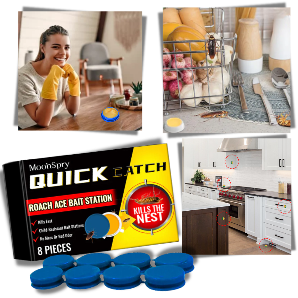 Odorless Cockroach Traps - PureGuard Solutions