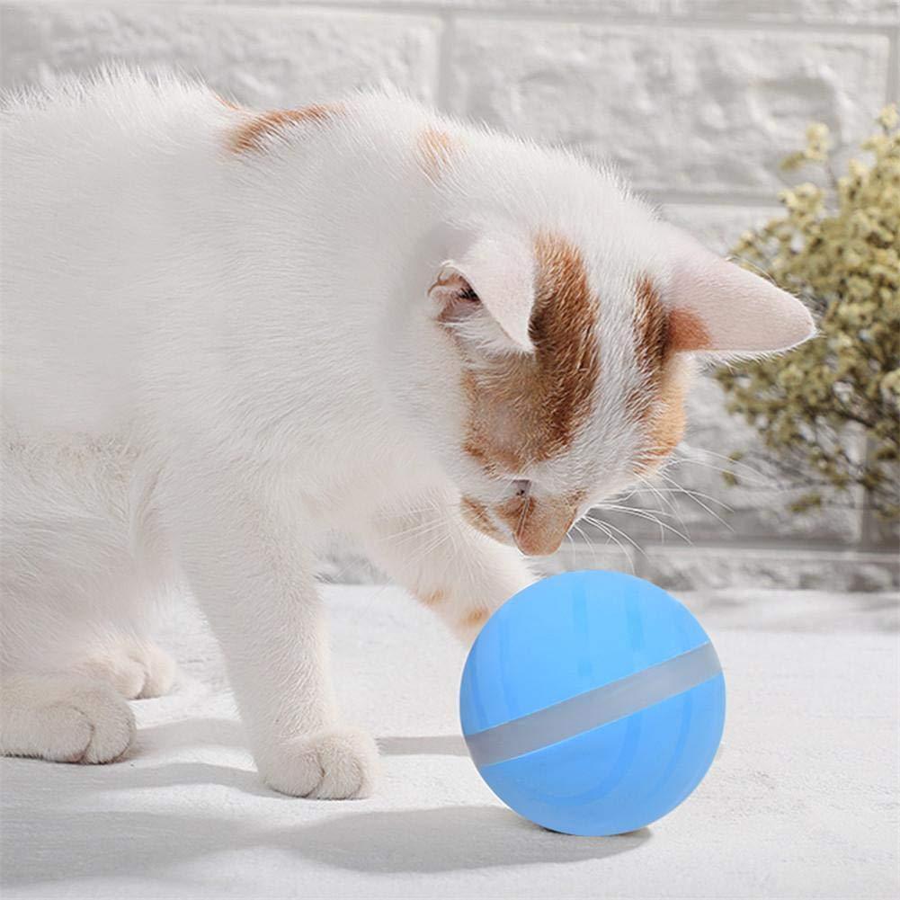 Pet Motion Ball - Pawsitive Play