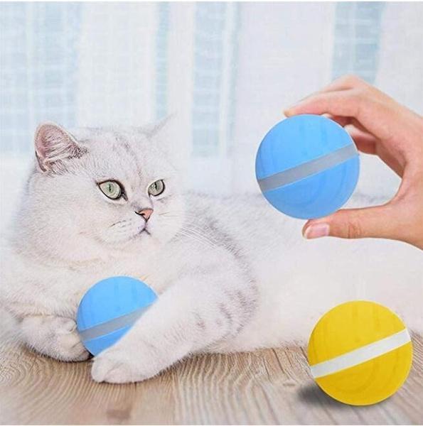 Pet Motion Ball - Pawsitive Play