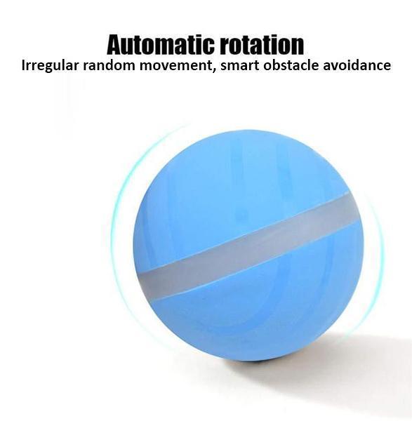 Pet Motion Ball - Pawsitive Play