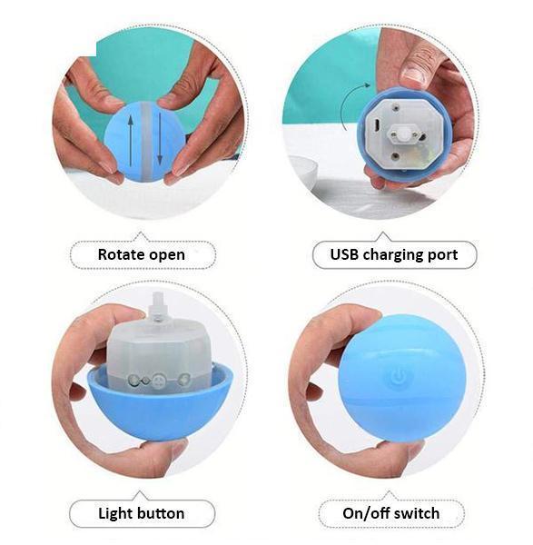 Pet Motion Ball - Pawsitive Play