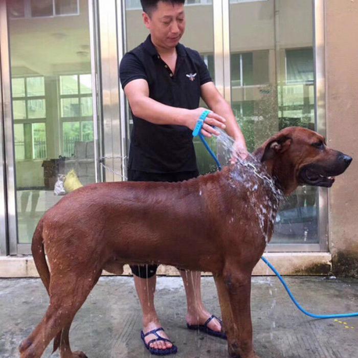 Dog Shower Sprayer - AquaPaw Essentials