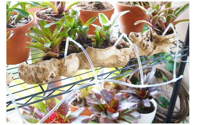 Smart Watering System - AquaGrove