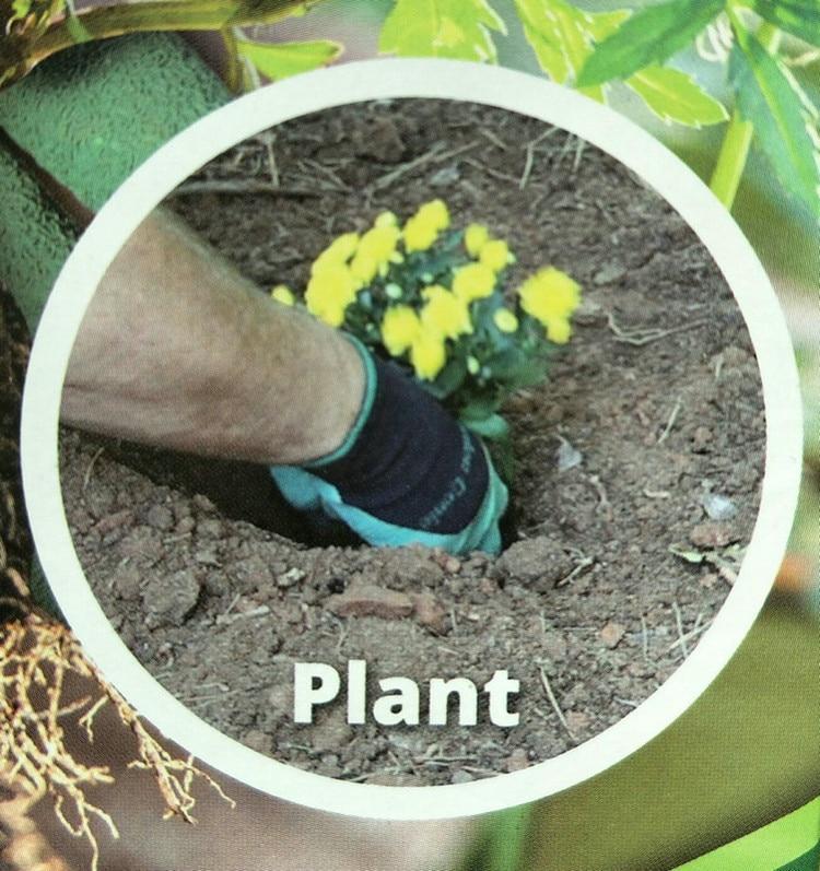 Claws Garden Gloves - TerraGrip Essentials