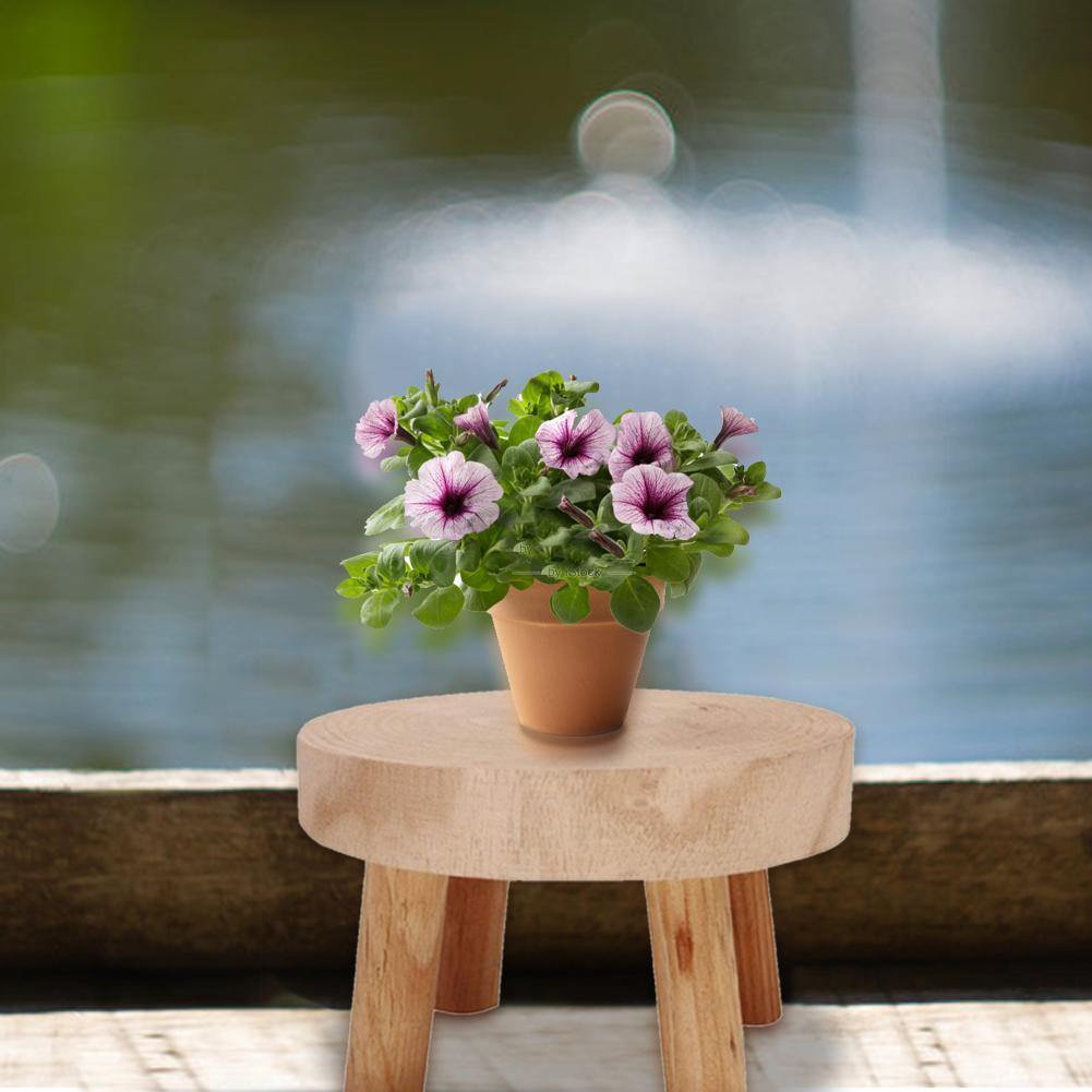 Wooden Plant Holder Seat - Verdant Haven