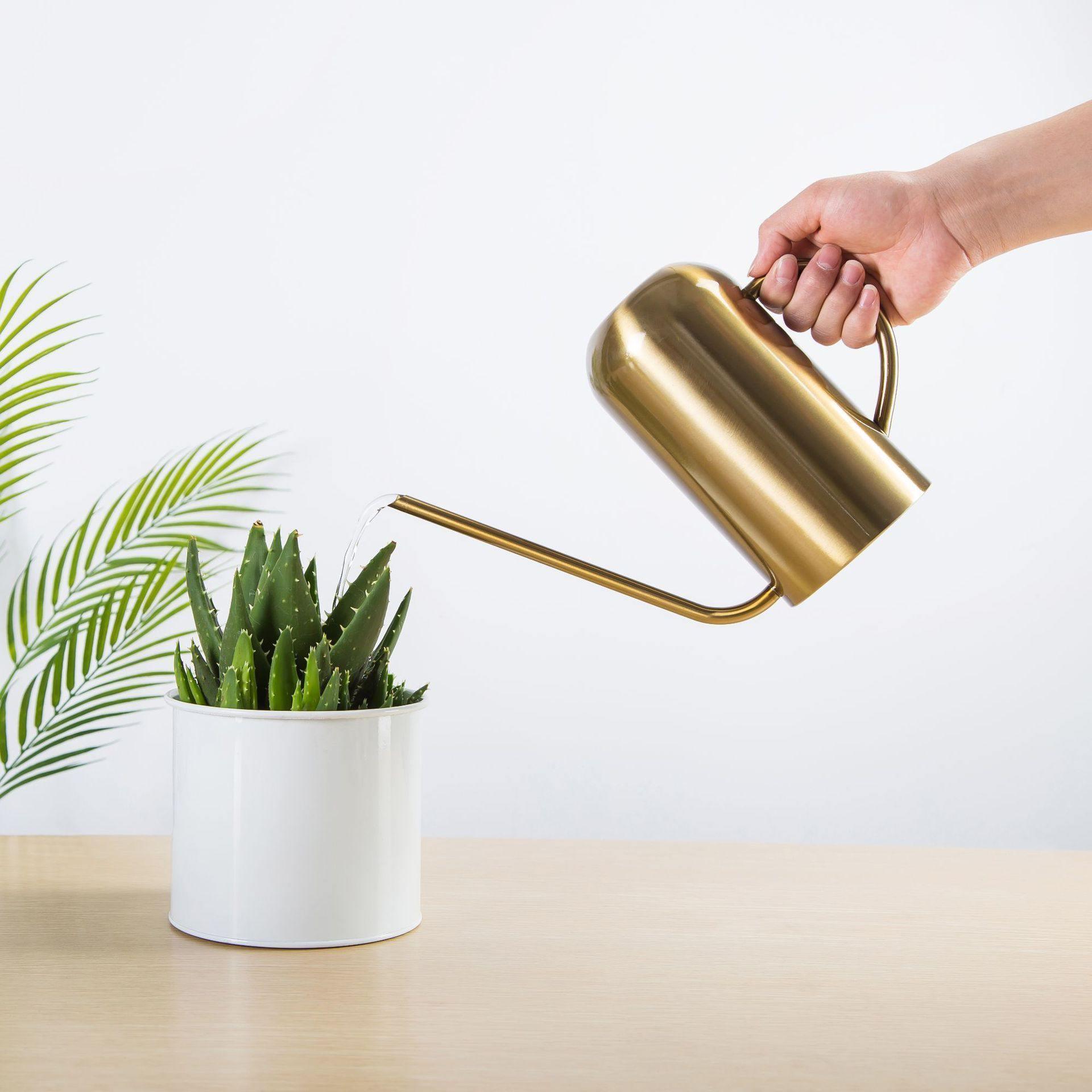 Watering Can - AquaBloom with Ergonomic Handle