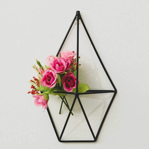 Air Plant Holders - Verdant Nest