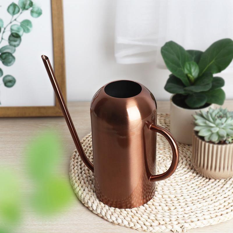 Watering Can - AquaBloom with Ergonomic Handle