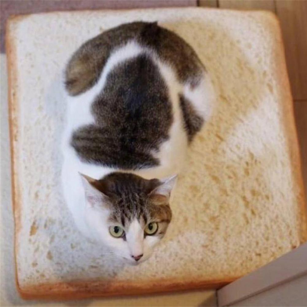 Cat Toast Bed - CozyPaws