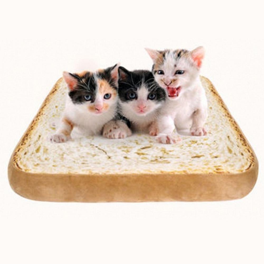 Cat Toast Bed - CozyPaws