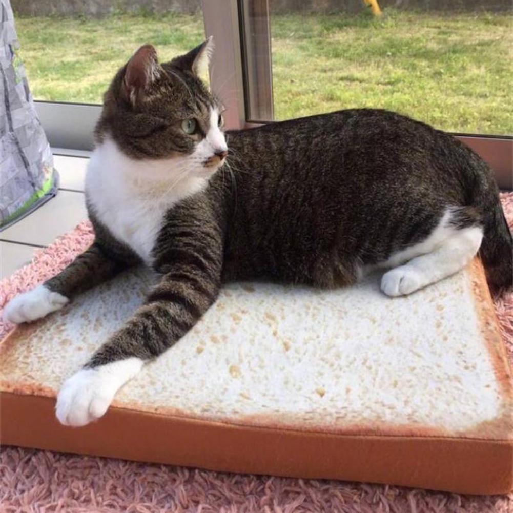 Cat Toast Bed - CozyPaws