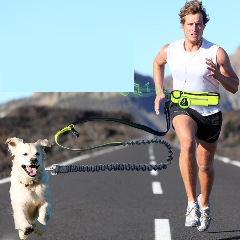 Handsfree Bungee Dog Leash - Pawsitive Gear