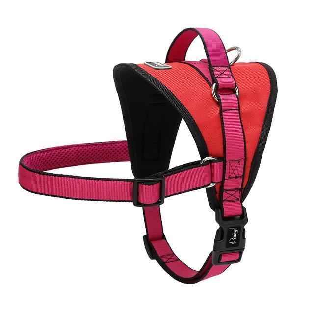 No Pull Dog Harness Vest - LuxePaws