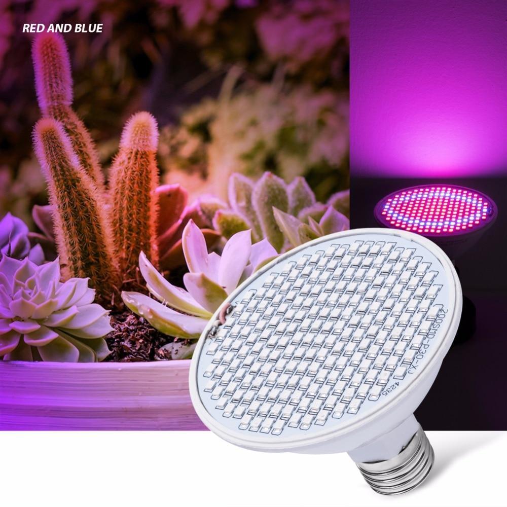 Full Spectrum LED Grow Lights - Verdant Glow