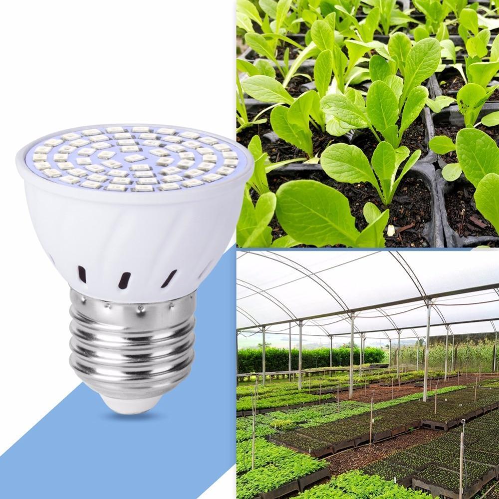 Full Spectrum LED Grow Lights - Verdant Glow