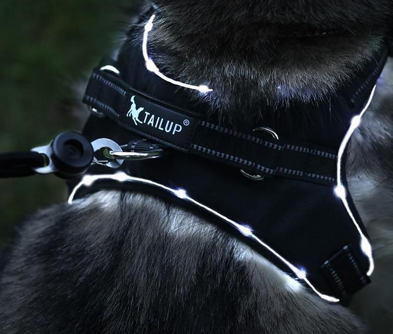 No Pull Dog Harness Vest with LED Light - Pawsitive Gear