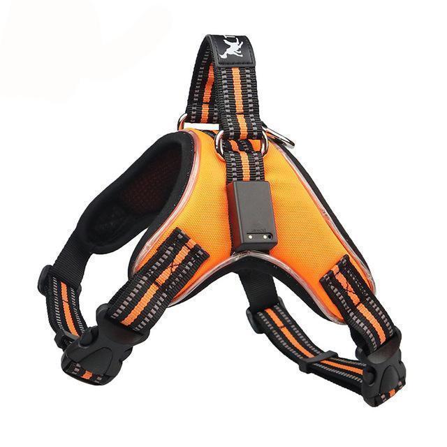 No Pull Dog Harness Vest with LED Light - Pawsitive Gear