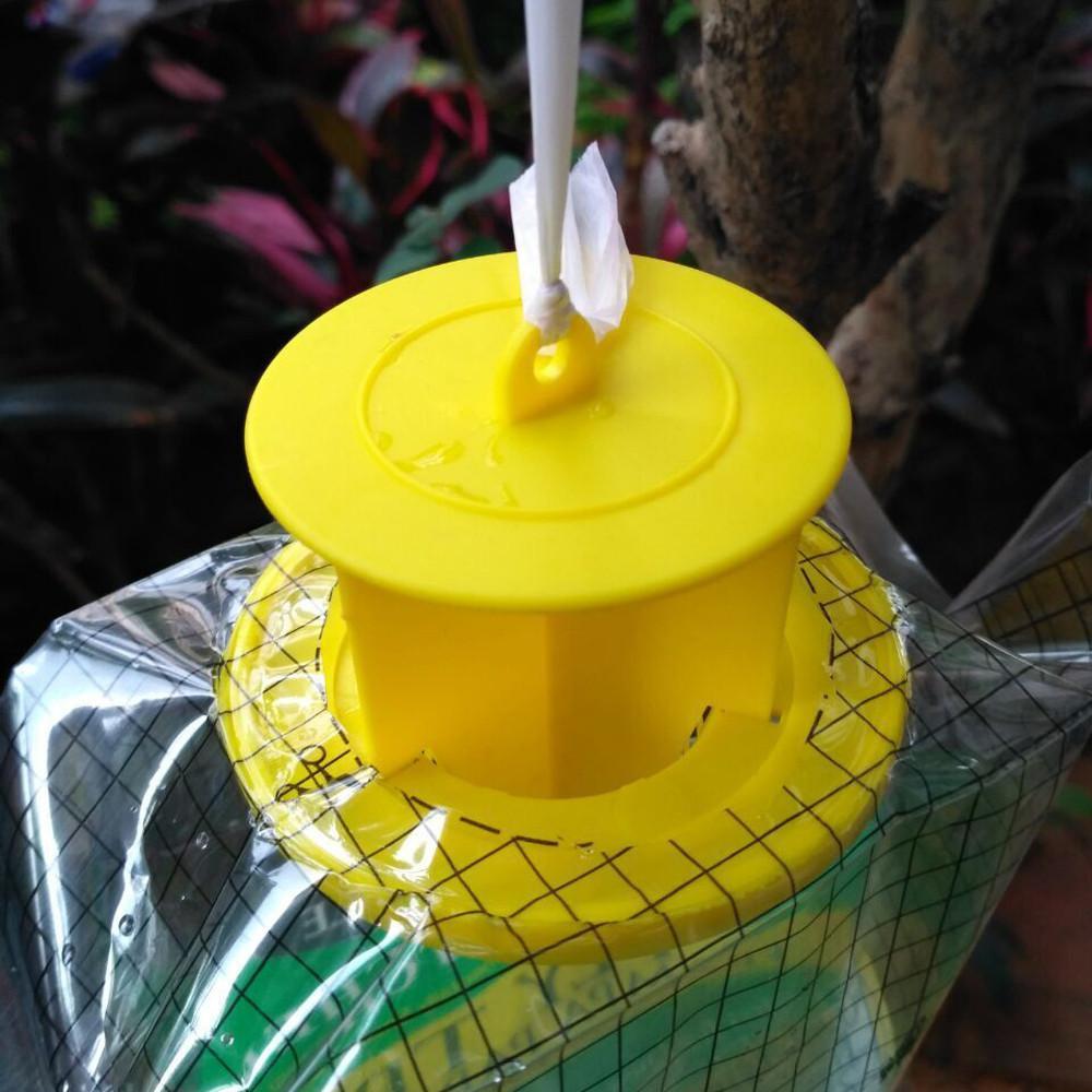 Fly Trap - EcoGuard Solutions