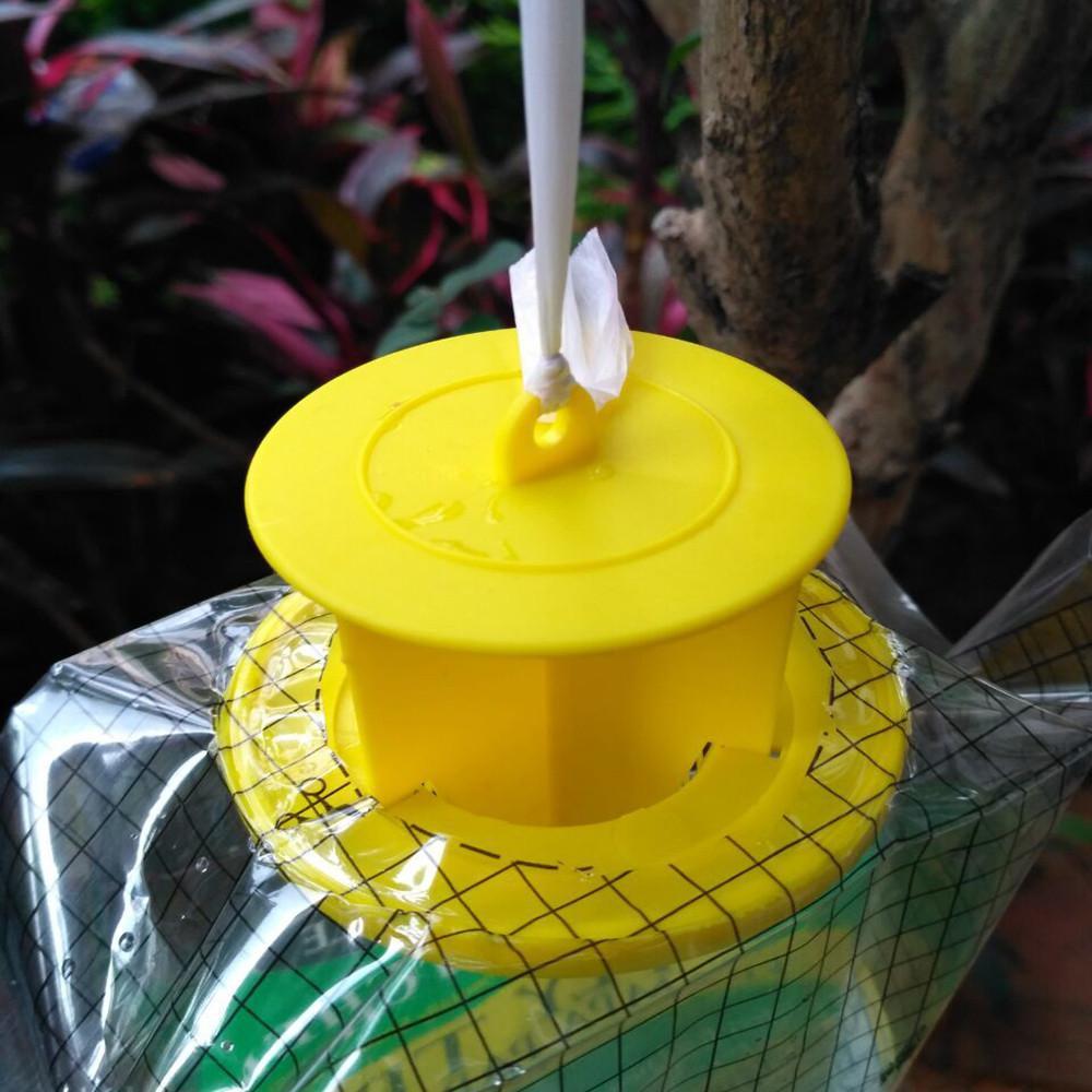 Fly Trap - EcoGuard Solutions
