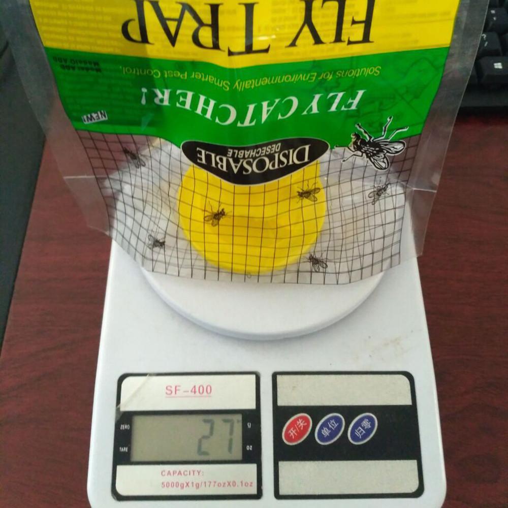 Fly Trap - EcoGuard Solutions