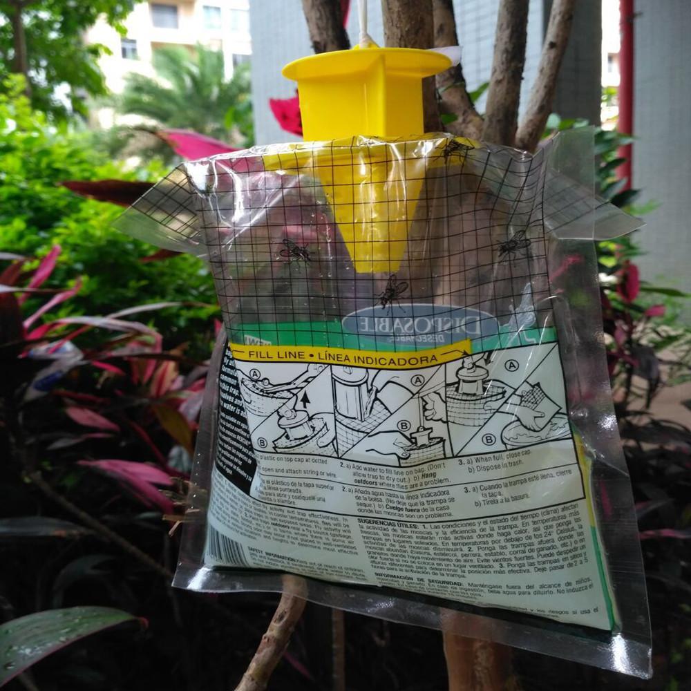 Fly Trap - EcoGuard Solutions