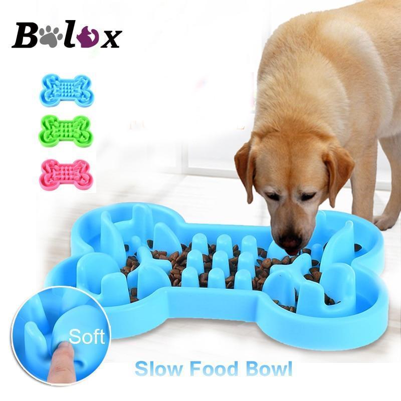 Anti Choke Slow Feeder Bowl - Pawsitive Pet Essentials