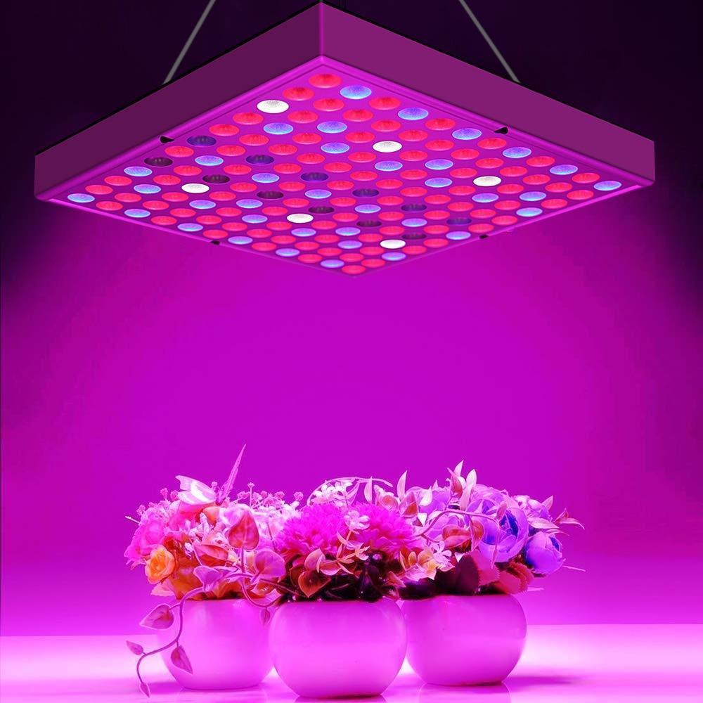 Full Spectrum LED Grow Lights - Verdant Glow