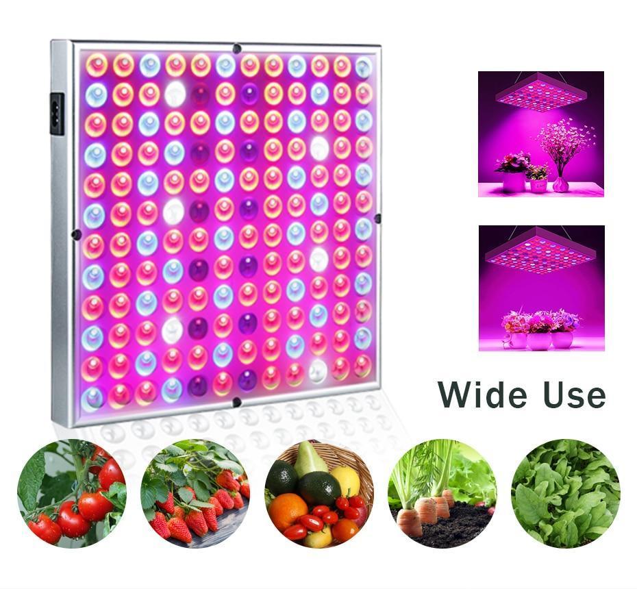 Full Spectrum LED Grow Lights - Verdant Glow