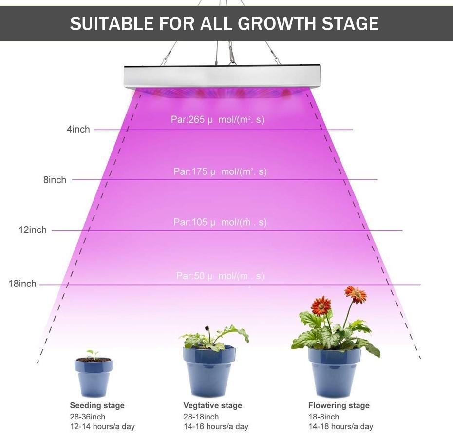 Full Spectrum LED Grow Lights - Verdant Glow