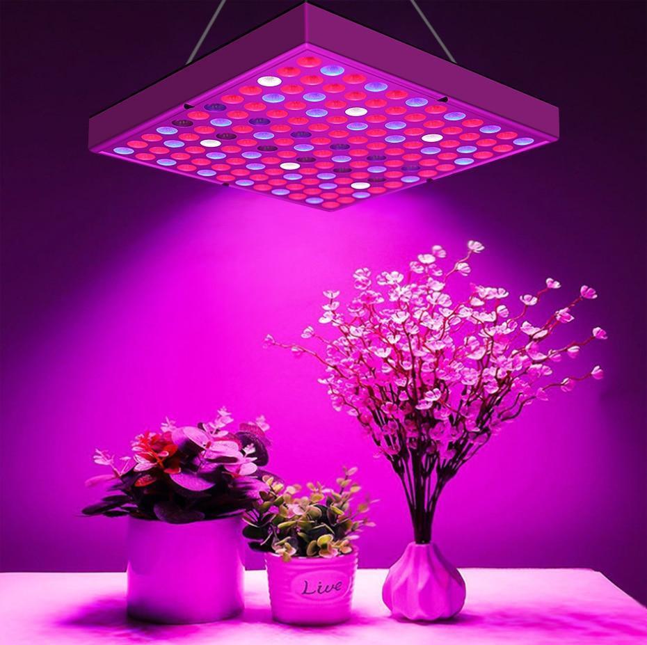 Full Spectrum LED Grow Lights - Verdant Glow