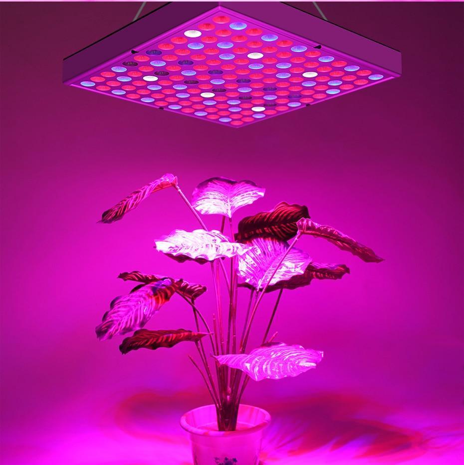 Full Spectrum LED Grow Lights - Verdant Glow