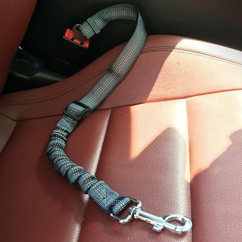 Dog Seat Belt - Pawsitive Travel Gear
